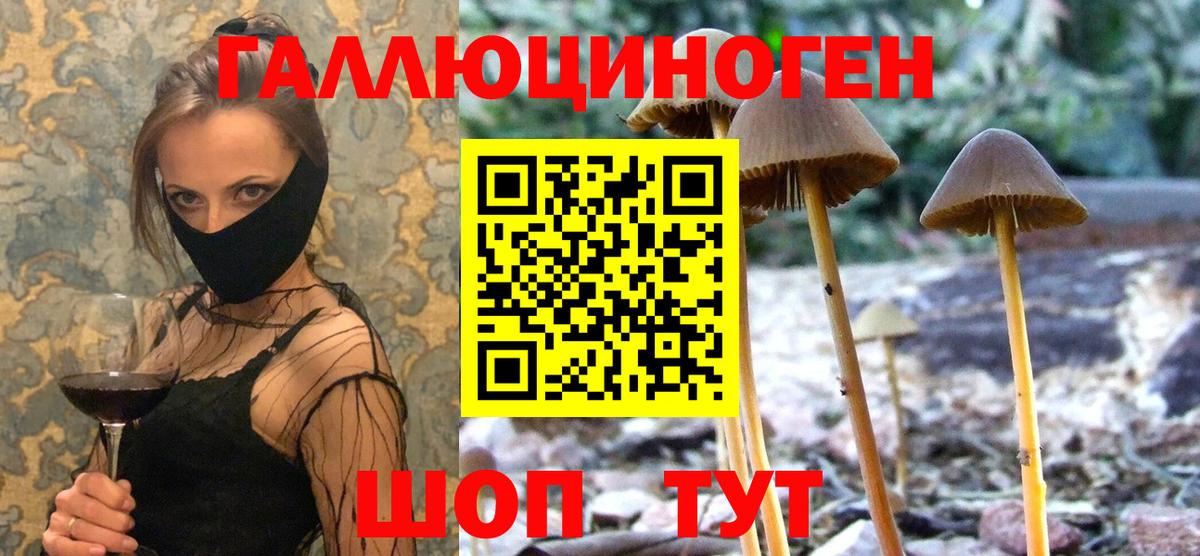 Кандалакша  Псилоцибиновые грибы Magic Shrooms  Псилоцибиновые грибы GOLDEN TEACHER  Вход с VPN 