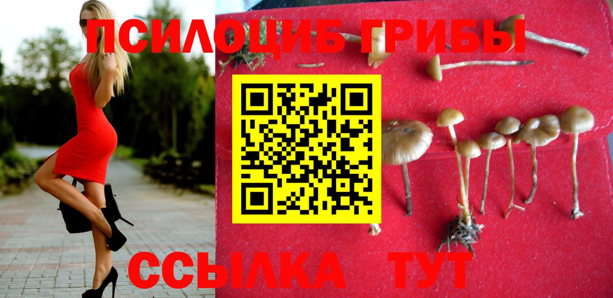 Псилоцибиновые грибы MAGIC MUSHROOMS Кандалакша